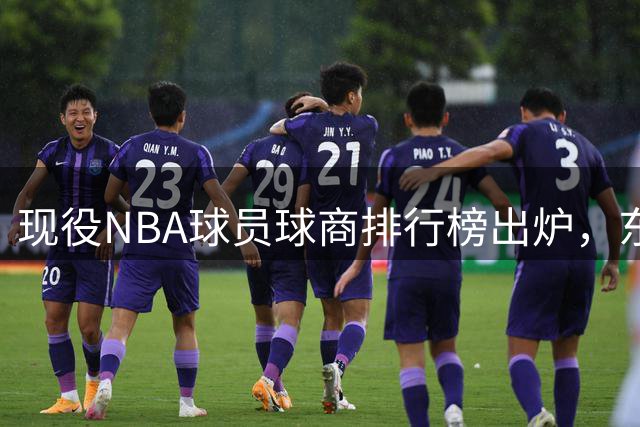 现役NBA球员球商排行榜出炉，东契奇紧随库里，詹姆斯位列第二